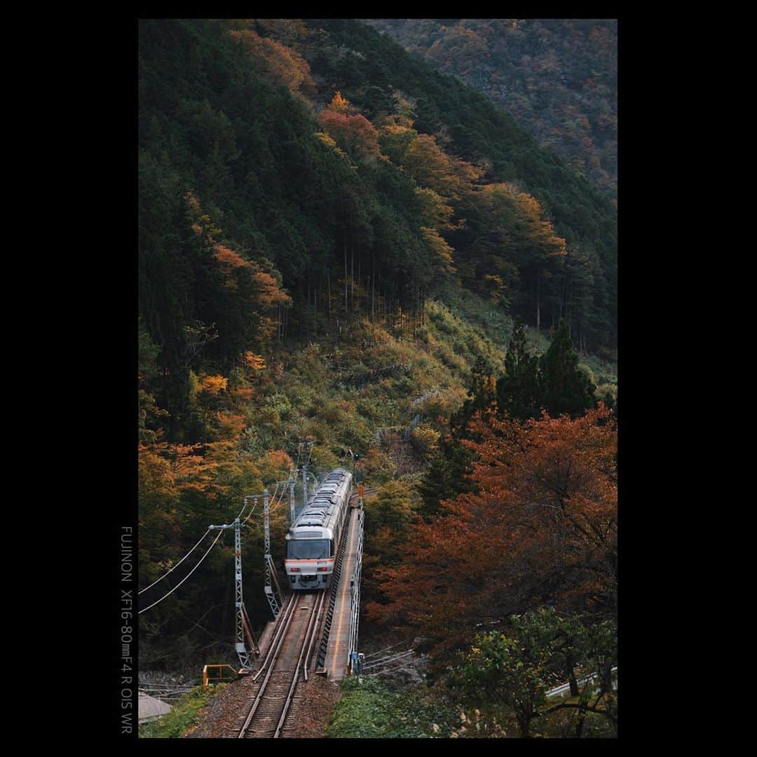 plus_thinkingさんのインスタグラム写真 - (plus_thinkingInstagram)「紅葉列車🍁🚃 . #beautifuljapan #高山本線」11月7日 20時33分 - plus_thinking