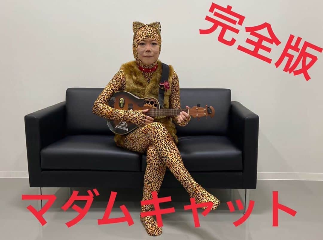 椿鬼奴さんのインスタグラム写真 - (椿鬼奴Instagram)「YouTubeにあげてみました。 #マダムキャット #年頃の女性に注意喚起する猫 #椿鬼奴チャンネル にて！」11月7日 20時47分 - tsubakioniyakko