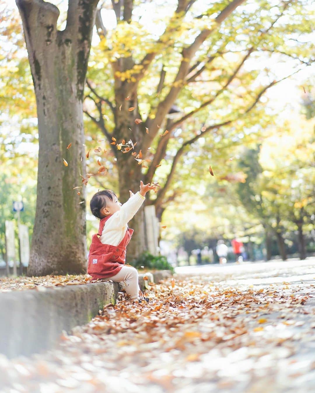 木南清香のインスタグラム：「🍂 ・ ・ 友達親子👩‍👧と、秋のおさんぽ。 だいぶ紅葉してきましたね🍁 #秋色、綺麗だな。 ・ #🍂 #秋晴れ #落ち葉遊び」