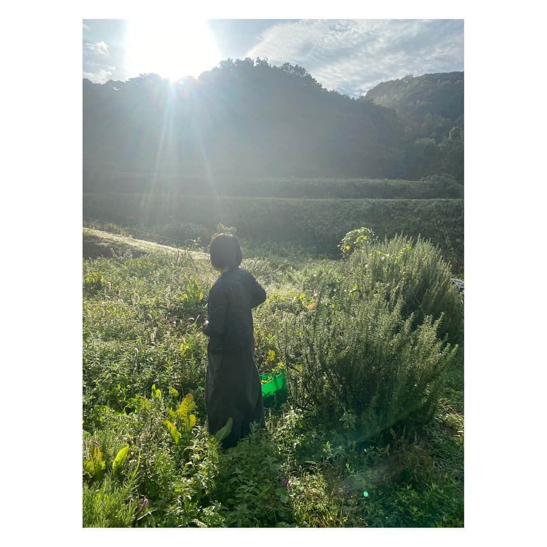 Sunshine Juiceのグルメインスタ