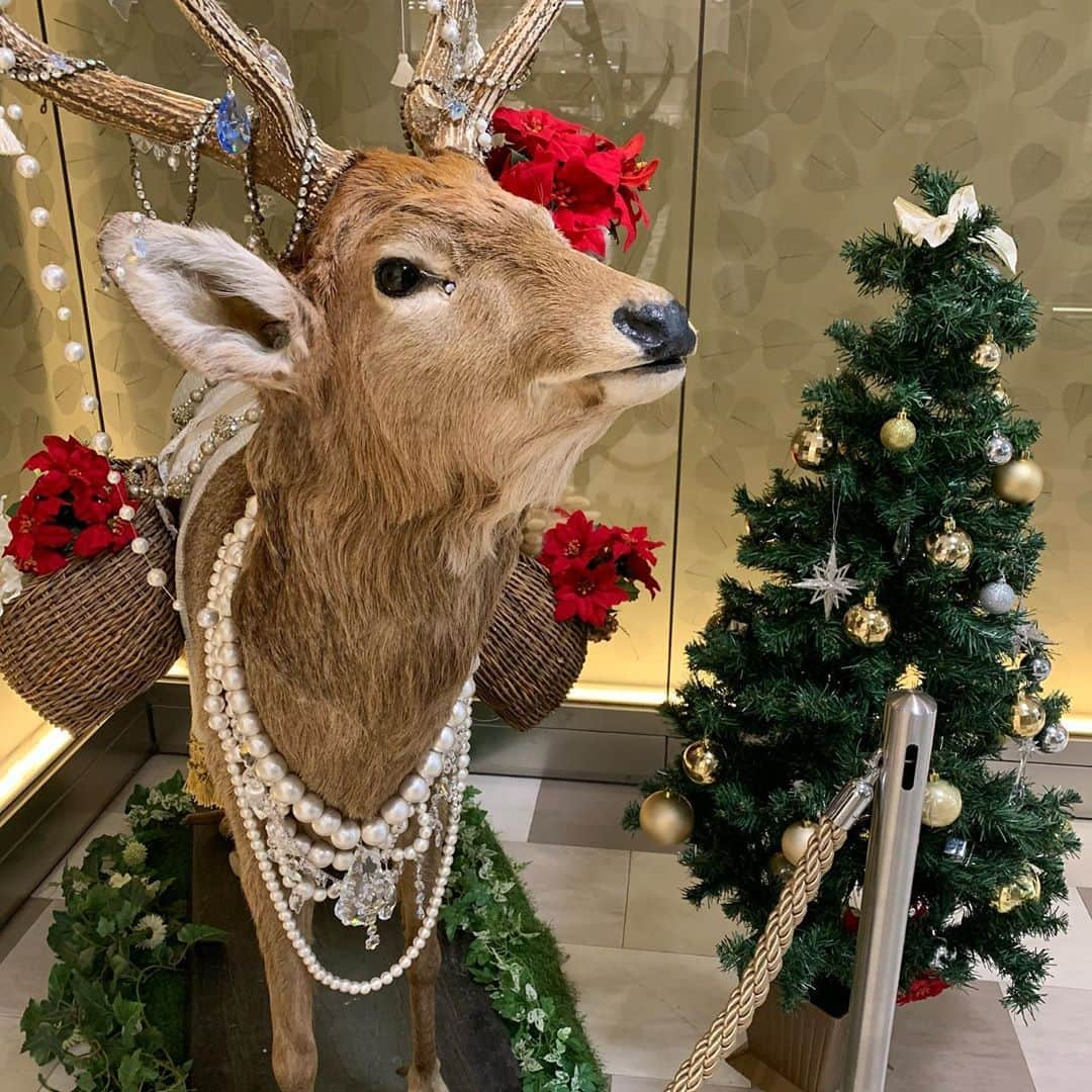 伶美うららさんのインスタグラム写真 - (伶美うららInstagram)「今日はアクセサリー講習会でした🥰 無事に皆様完成されました✨ . 今回はクレイという粘土のような物を使ってパーツを接着するのですが、乾燥させるのに24時間かかるので少しバランスが悪いな…と思ったり、やり直したい‼︎と思った時に簡単に手直しができる優れものなのです💕 . . ブローチなどの製作にも、自分の好きなパーツやスワロフスキーなどを立体的に接着できるので、形も自由に製作できます✨ . . 講習会に伺うと、貴和製作所さんのシカがクリスマス仕様になっていました🎄🥰 もうそんな季節なのですね🦌✨🎄 . お越しくださった皆様、ありがとうございました☺️🌸 . . #貴和製作所 #アクセサリー講習会 #また来週 💕 #キラリトギンザ」11月7日 20時54分 - urara_reimi