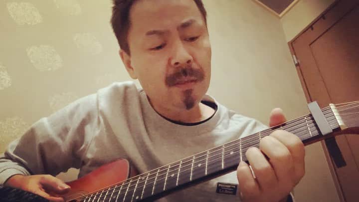こーいちのインスタグラム：「ちゃんと弾きたい。  #猫 #9カポ」