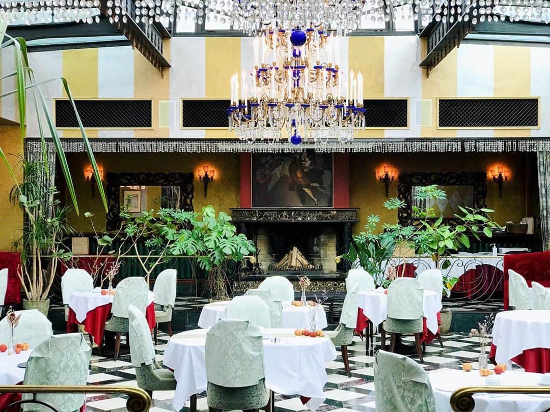 ステラートのグルメインスタ