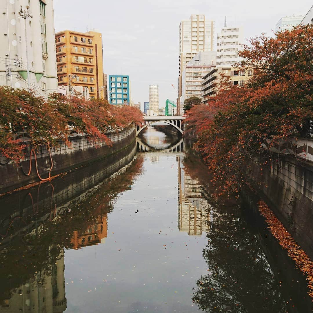 中島静佳のインスタグラム