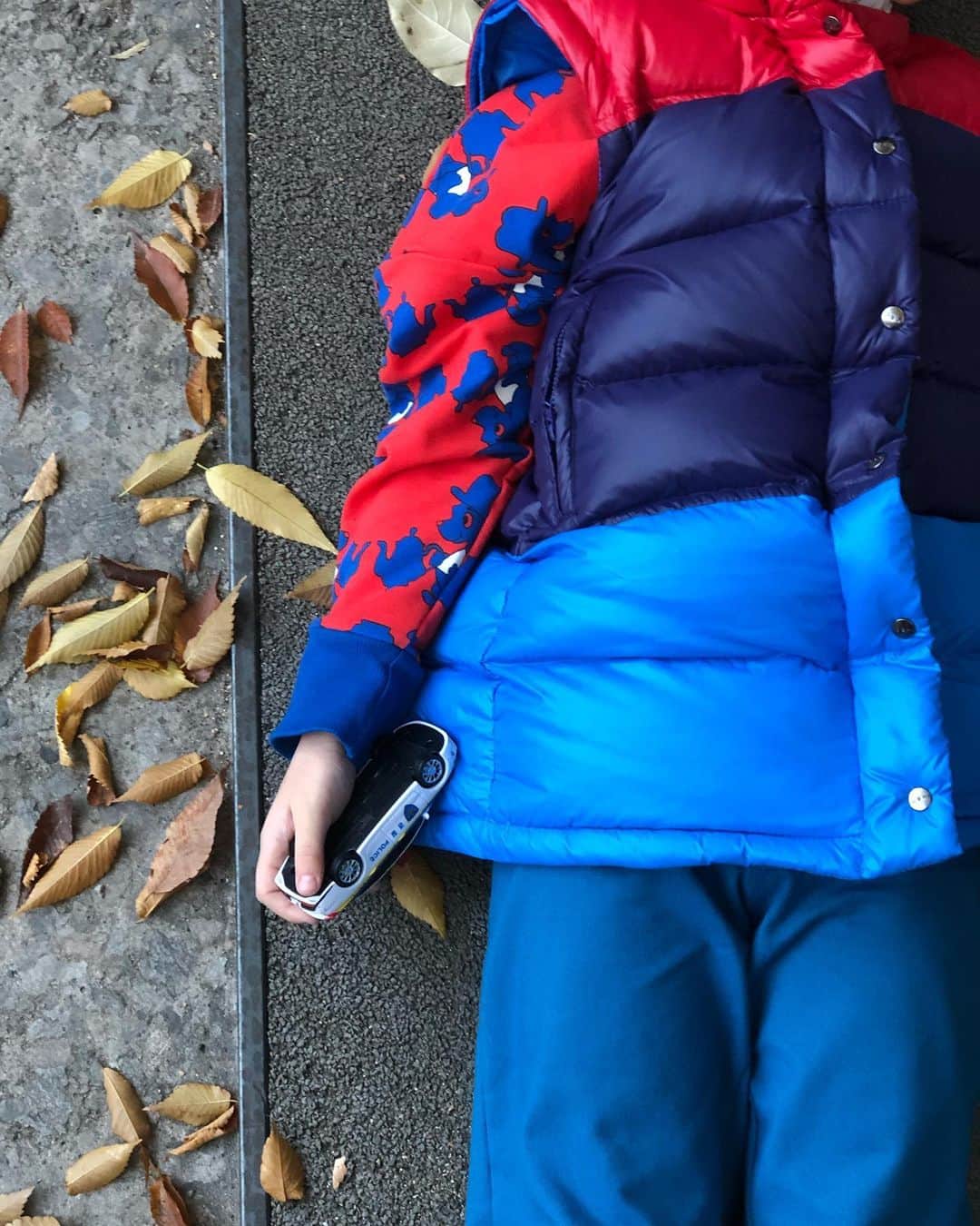 パク・ウォンジさんのインスタグラム写真 - (パク・ウォンジInstagram)「갑자기 누워서 하늘을 보는 멋진 아이 🍂」11月7日 21時21分 - sisi_wonji