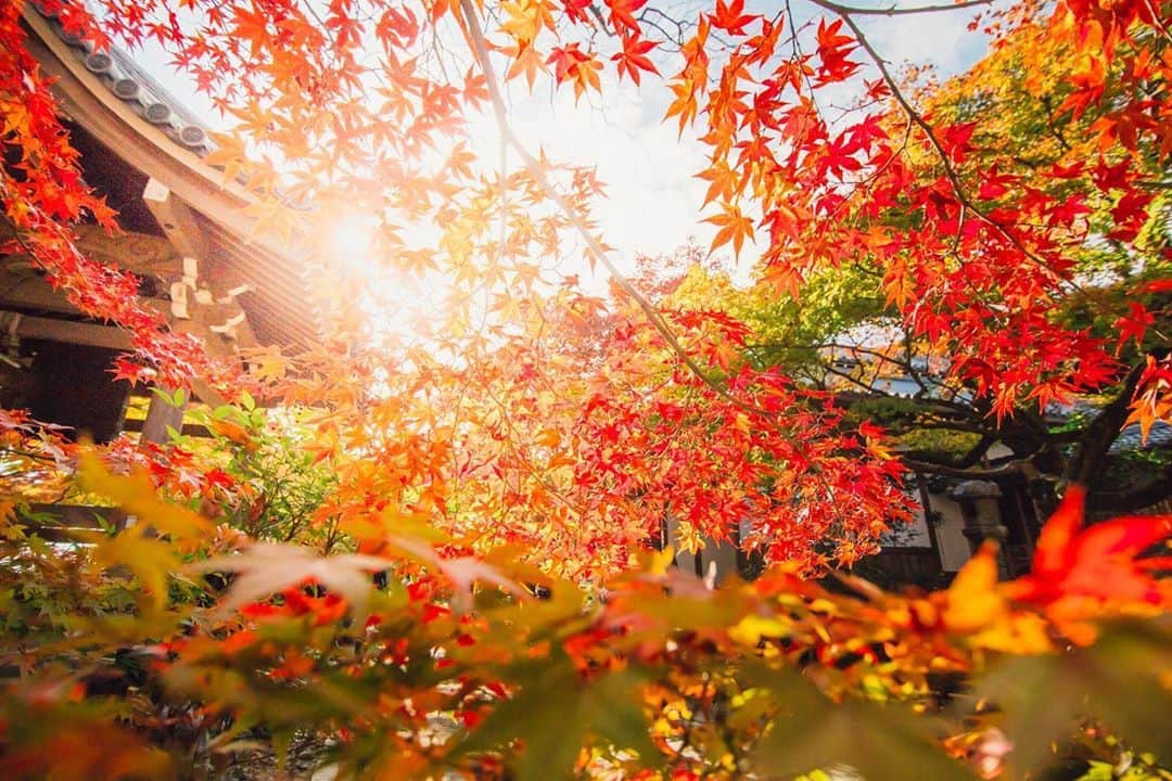 Sonoda COO Yukiyaのインスタグラム：「Kyoto Arashiyama 京都嵐山  #Kyoto #Arashiyama #autumn」