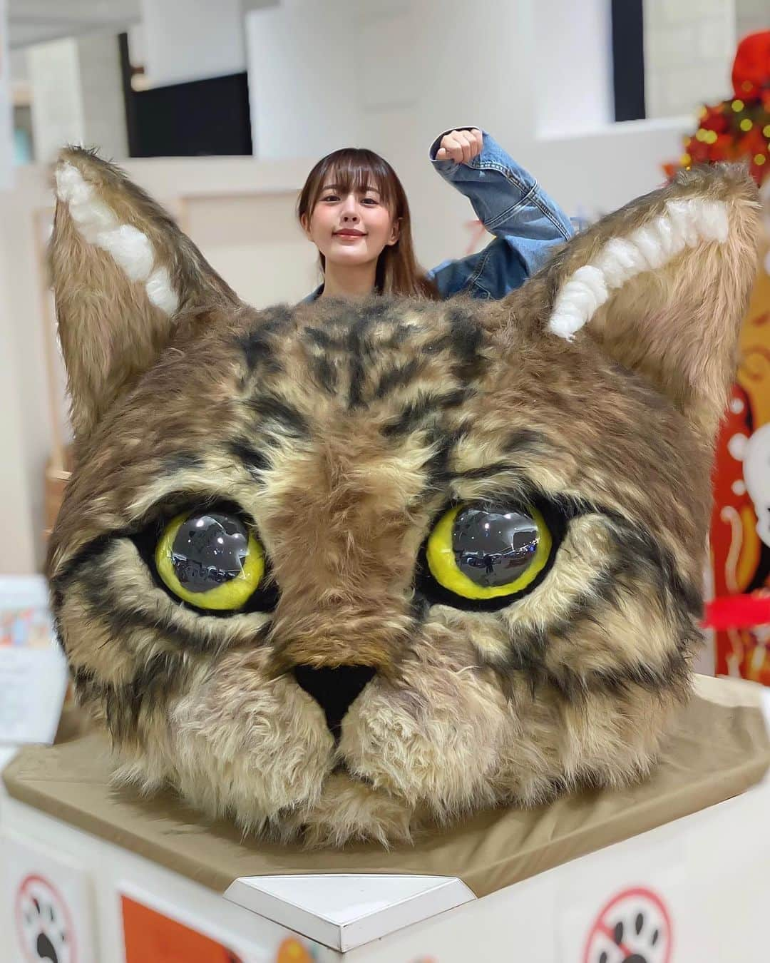 真衣ひなのさんのインスタグラム写真 - (真衣ひなのInstagram)「🐈 道はなだらかなほうが歩きやすいけど 歩きやすい道の先に 望むものがあるとは限らない。 そこに執着して強引に進むより 他の道を探すか、無ければ新しく作る方が 結果良かったと思えることもある。 流れが止まる時には何か意味があるから まずは受け止めることから。 それから、どうしたいか。  もしも、と考えていた最悪の展開は 最良の選択への導きかもしれないと 次第に思えてくる不思議を感じてる。今。 わからないけどね。 うん、わからないことだらけ。 でも人生色んなことが起こるから 常に順調な進みを期待するほうが、 虫の良い話なのかもしれないと最近は思う。 私は頭固いから、これまでの道も 歩きにくい靴を履いてものすごく疲れたり、 近道を知っているのに あえて遠回りをしてしまったり もっと上手くやれば良いのに なんて昔からよく言われるけど だからこそ、周りに残るのは本当の人。 周りの方に支えられて私がある。 幸せなことだなって思います。  何が言いたいかっていうと 感謝を忘れないようにしよう、と。  おかげさま、おかげさま。 . #今日いま感じたこと #自分メモ #心のメモ #ひなの雑記 #招き猫　にゃおん。」11月7日 21時36分 - hinano_mai