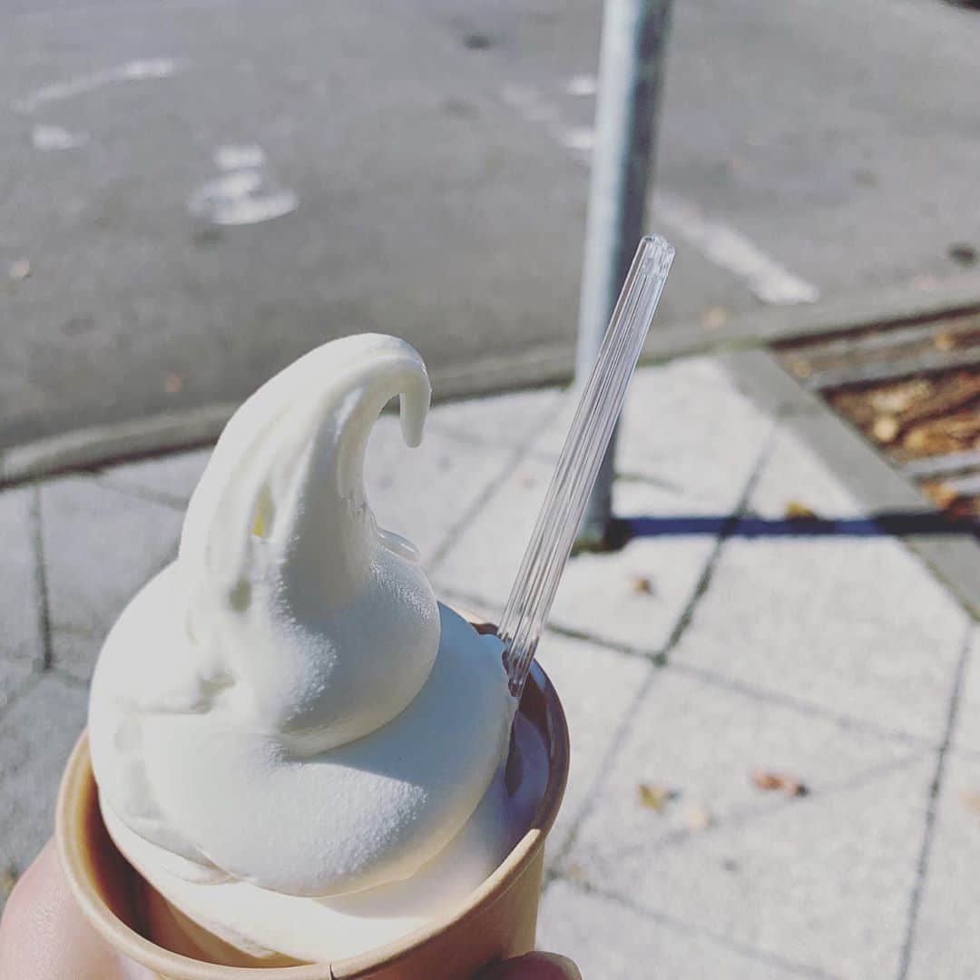 加藤千恵のインスタグラム：「先日のソフト（結構前）。牛乳ソフトという名前だけあり、超牛乳。濃厚。おいしいけど、自分の好みのソフトは、むしろあっさりめのものなのかもしれないと気づいた。」