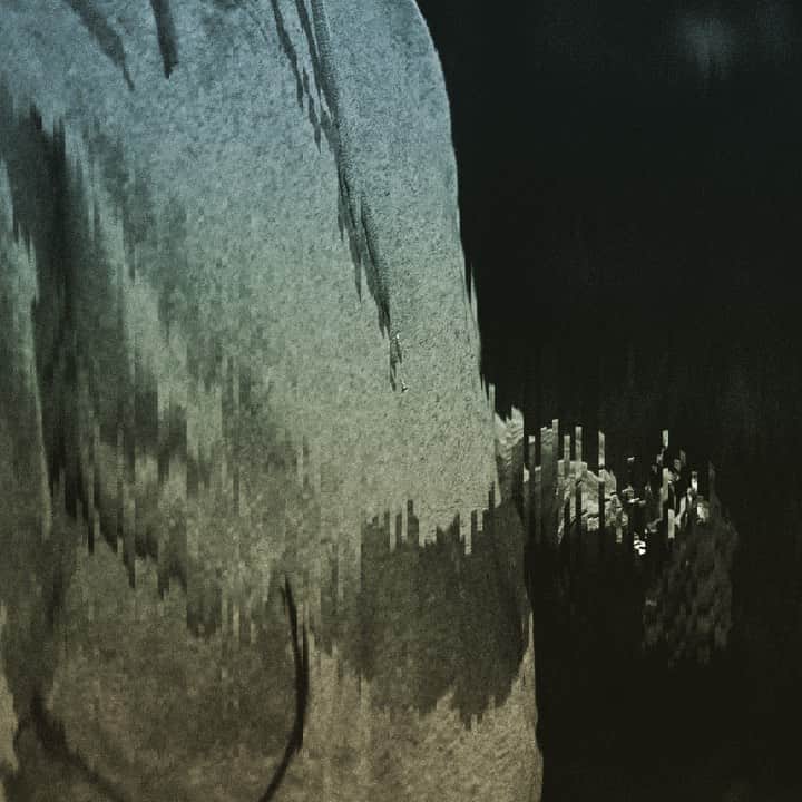 japanese forest & web designer　kapiosanのインスタグラム