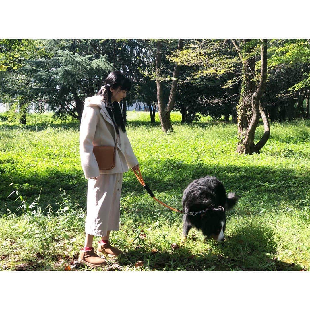 柴咲コウのインスタグラム：「このあと10時から！  #三十五歳の少女 #犬の散歩 #ハロウィン」