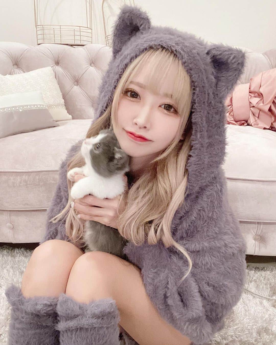 のインスタグラム：「ストーリーやTwitterでは登場してたけどマンチカンの男の子を飼い始めました🐾  名前はういくんです(p`･ω･´q) 名前の由来はストーリーに書くね〜(^_-)  はじめましてのときは大人しかったけど運動神経良くてやんちゃな子でした。笑  もう4ヶ月ฅ•ω•ฅ   #マンチカン #ういぼん🐾 #子猫 #ジェラートピケ #ジェラピケ #gelatopique」
