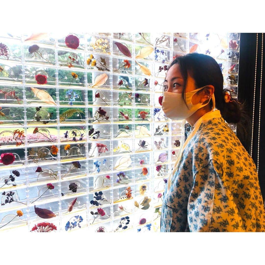 木南晴夏さんのインスタグラム写真 - (木南晴夏Instagram)「先日ロケで #東京都庭園美術館 へ  歴史ある建物の中に 尖った作品だらけで とっても刺激的なおもしろ空間  ひとつひとつの部屋と ひとつひとつのアートのコラボレーションが 楽しすぎて興奮しっぱなし  また絶対行きたい！  #生命の庭 #GardenOfLife」11月7日 22時12分 - kinamitopan