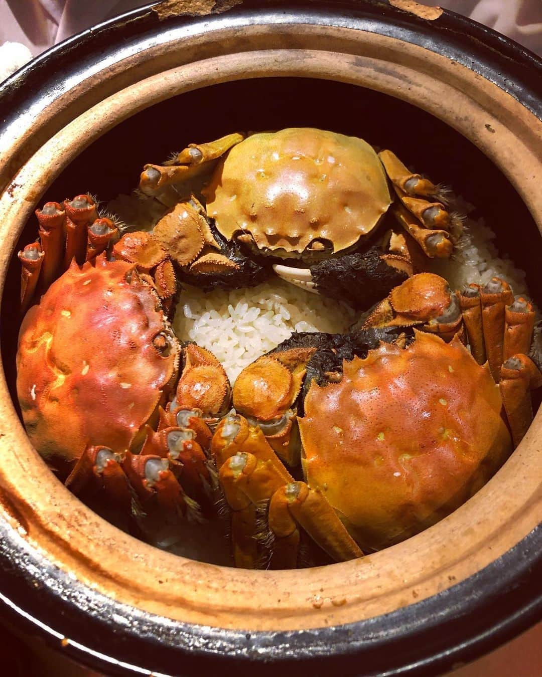 加織さんのインスタグラム写真 - (加織Instagram)「和食でいっちばーんすきな『しのはら』で過ごす時間はやはり幸せすぎて終始ニヤけてるので、帰りは笑ジワが深くなってます😂🤍  思い出してもおいしい。 八寸の芸術さ半端ない🥺 あー次はいつ行けるのかな…」11月7日 22時11分 - kaori_0723