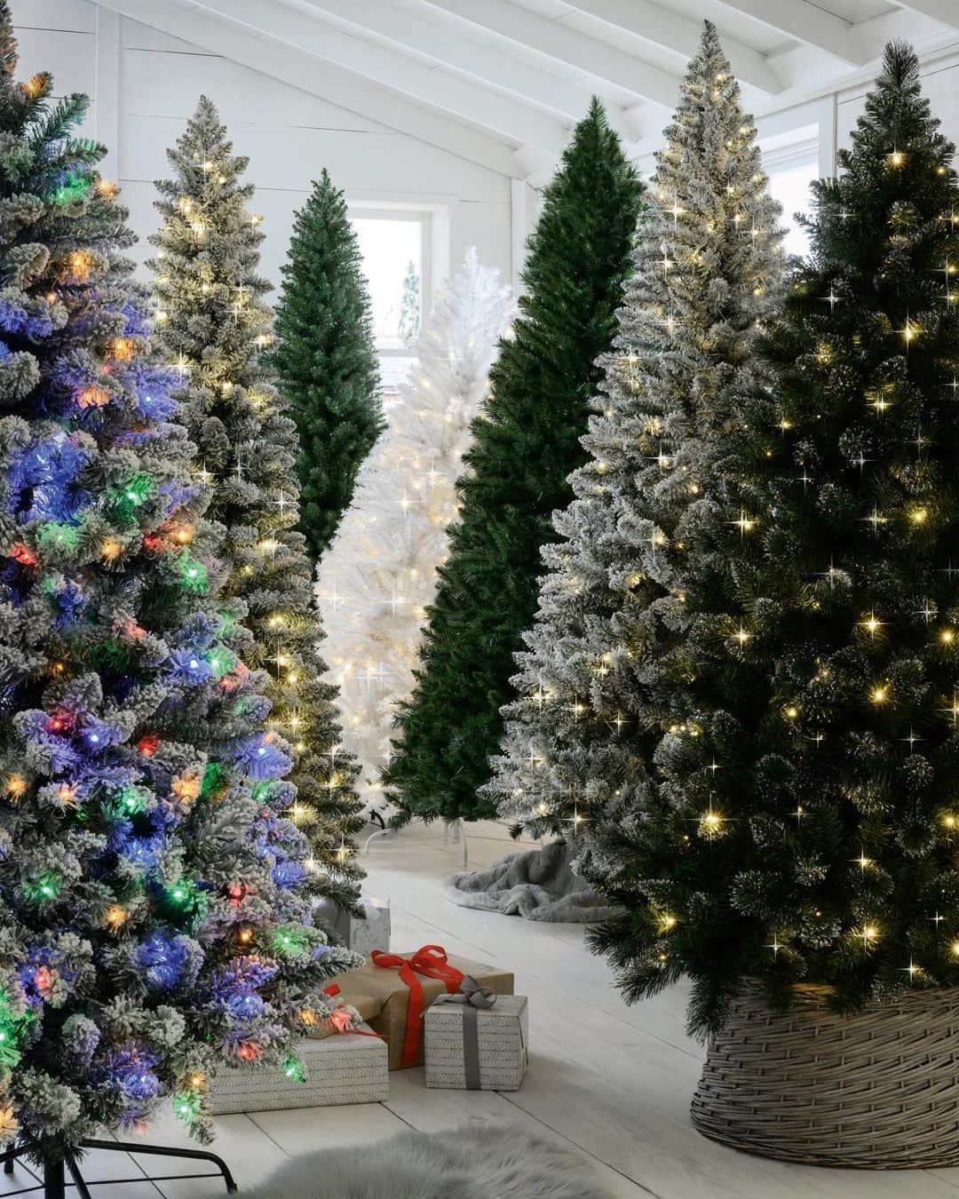 のインスタグラム：「Christmas tree ohh Christmas tree.. 🎼What type of tree are you going for this year? 🎄Tap to Shop 🔎 Lit Glitter Tip Tree: 220508 7ft Lit Snowy Tree: 252964 6ft Lit White Tree: 241177 Slim Lit 7ft Snowy Tree: 250778 6ft Colourful Lit Tree: 294299 #nexthome #merryeverything」