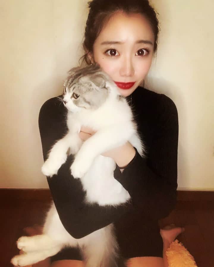 秋本鈴果のインスタグラム：「最近ろみちゃんが全くなつかなくなって本当に悲しい私です。 . .  #me#my#selca#‪make#cosme#ootd#fashion#photo#follow#followme#instalike#instagood#ねこのいる生活 #ねこすたぐらむ #ねこすきさんと繋がりたい #カラコン#秋メイク#秋コーデ#いいね返し#グラビア#モデル#ファッション#ライブ配信#ポコチャライバー#pococha#フォロミー」