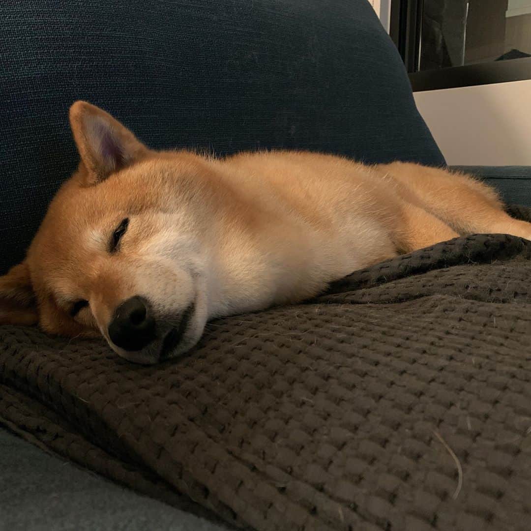 Coffeeのインスタグラム：「晚安😴💤 #coffee_and_apple」