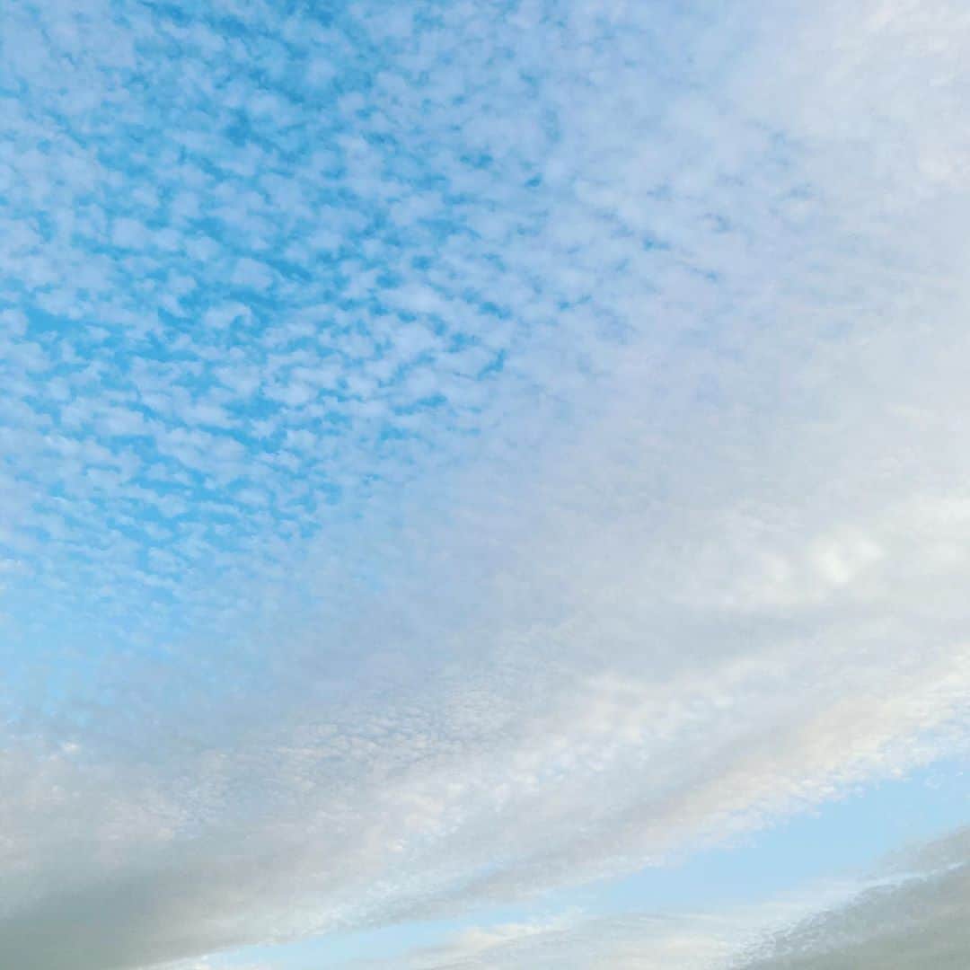 板谷由夏 さんのインスタグラム写真 - (板谷由夏 Instagram)「SINME @sinmedenim  3日間の展示会が無事終了 来てくださった方々ありがとうございました！」11月7日 22時49分 - yukaitaya