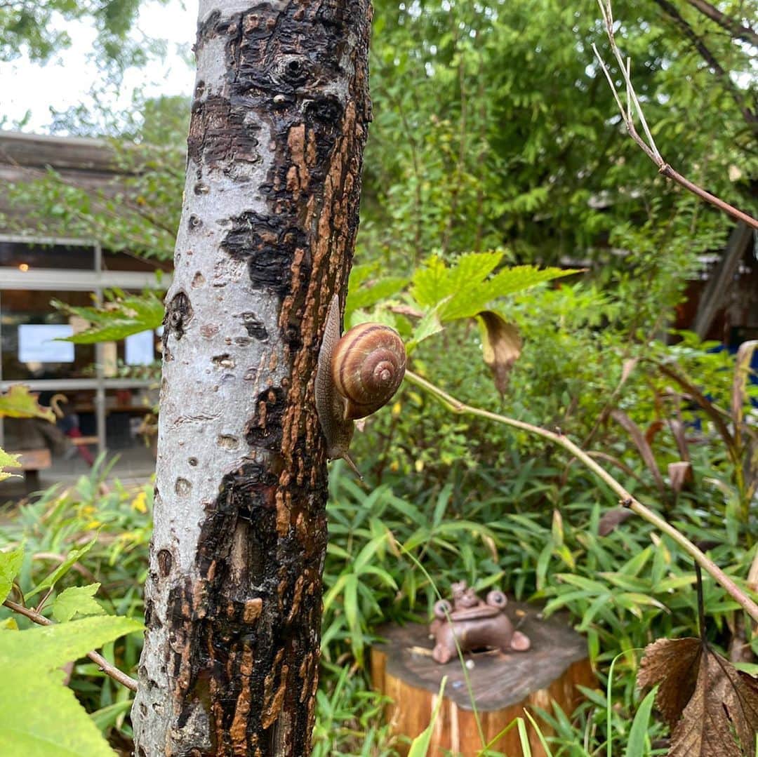 イレーネのグルメインスタ