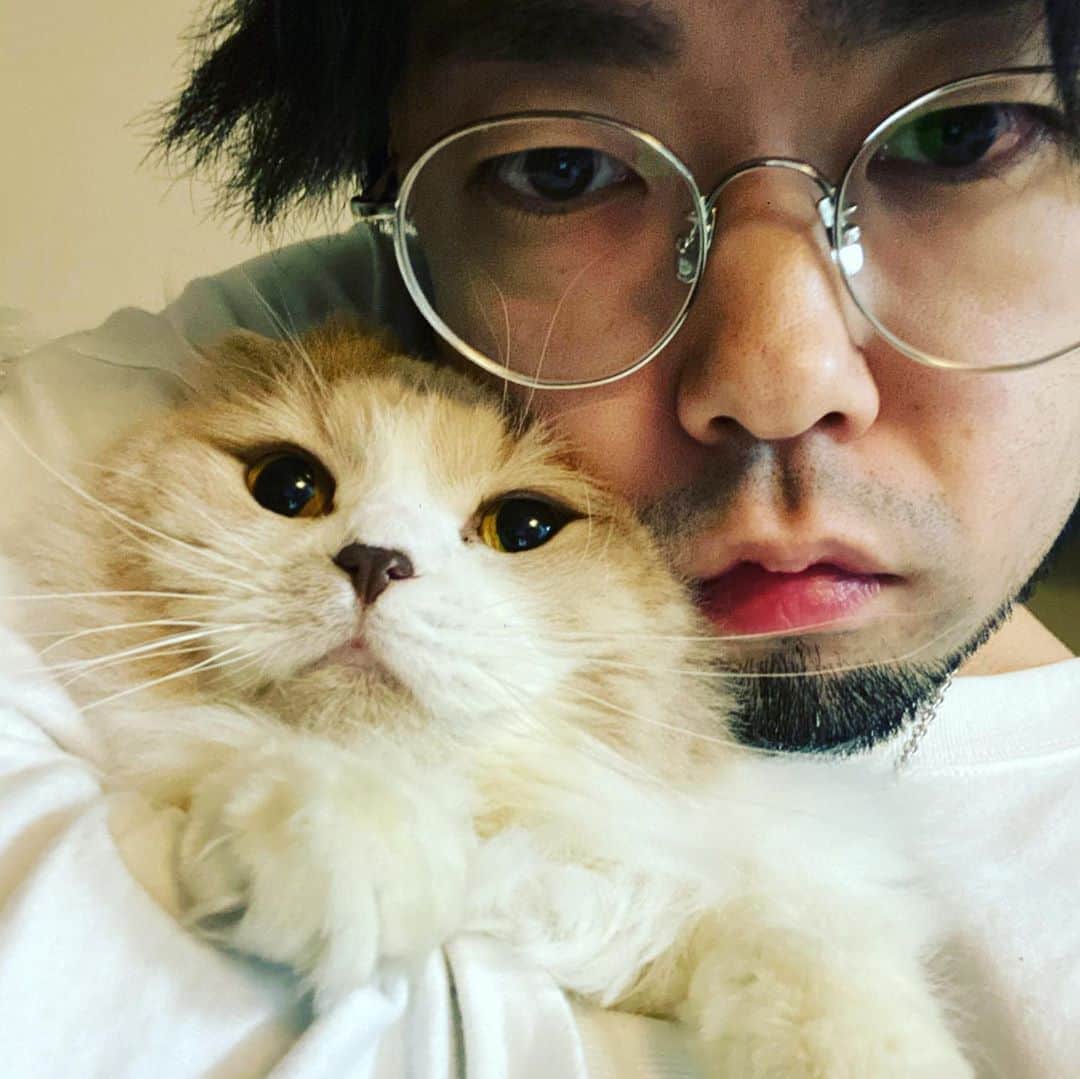Katsuma さんのインスタグラム写真 - (Katsuma Instagram)「猫と私だ🐱」11月7日 23時12分 - katsuma_drums