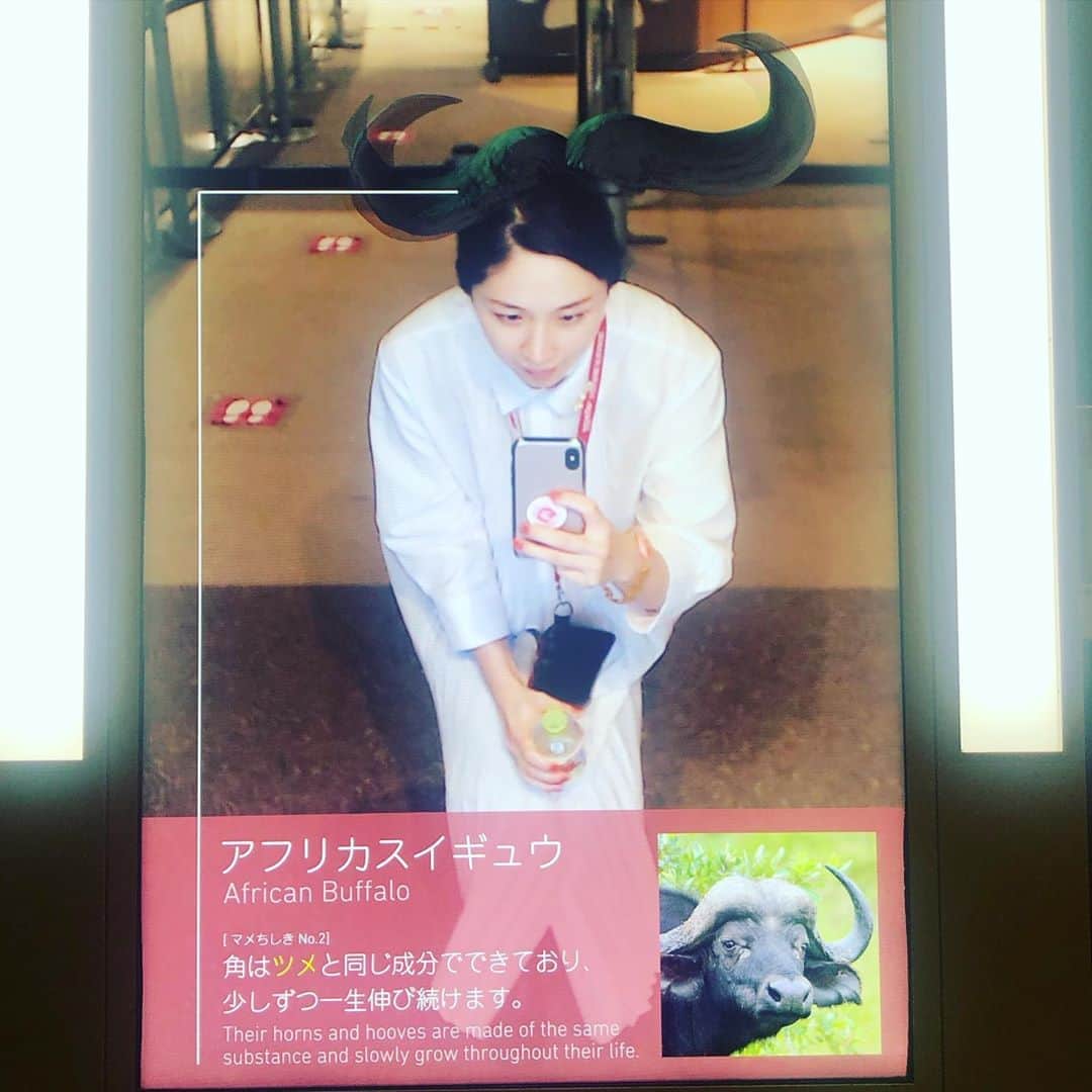 犬山紙子さんのインスタグラム写真 - (犬山紙子Instagram)11月7日 23時07分 - inuyamakamiko