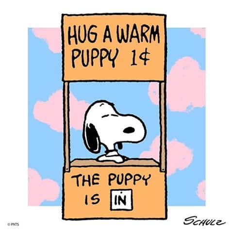 スヌーピーさんのインスタグラム写真 スヌーピーinstagram Puppy Hugs Are The Best Hugs 11月