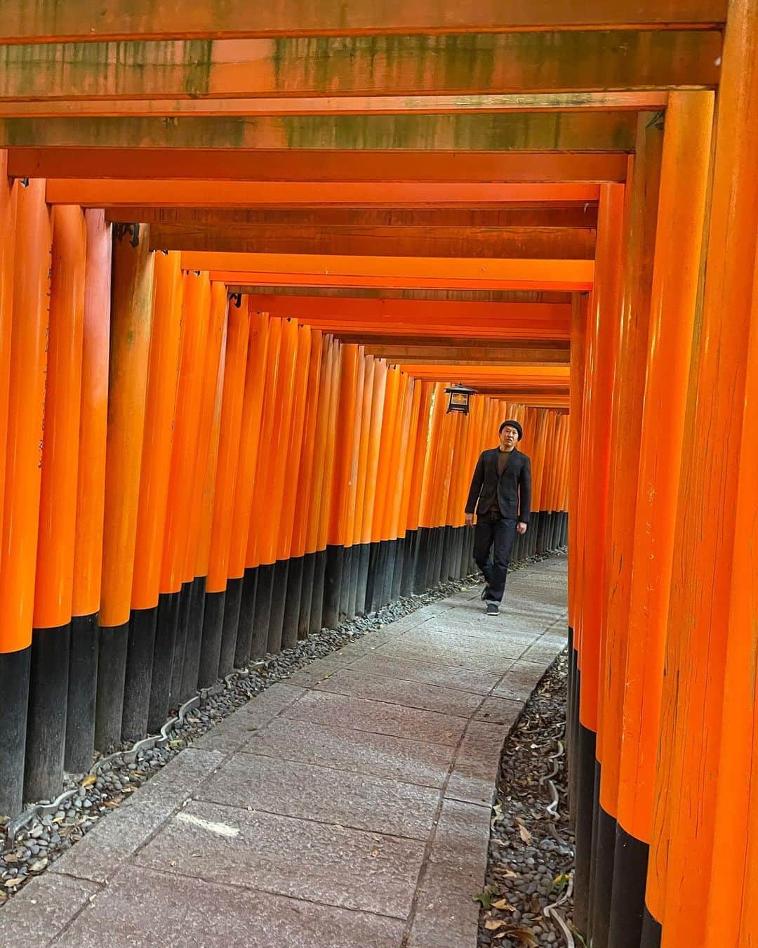金子貴俊さんのインスタグラム写真 - (金子貴俊Instagram)「伏見稲荷の千本鳥居は やはり素敵だ。」11月8日 10時52分 - takatoshi_kaneko