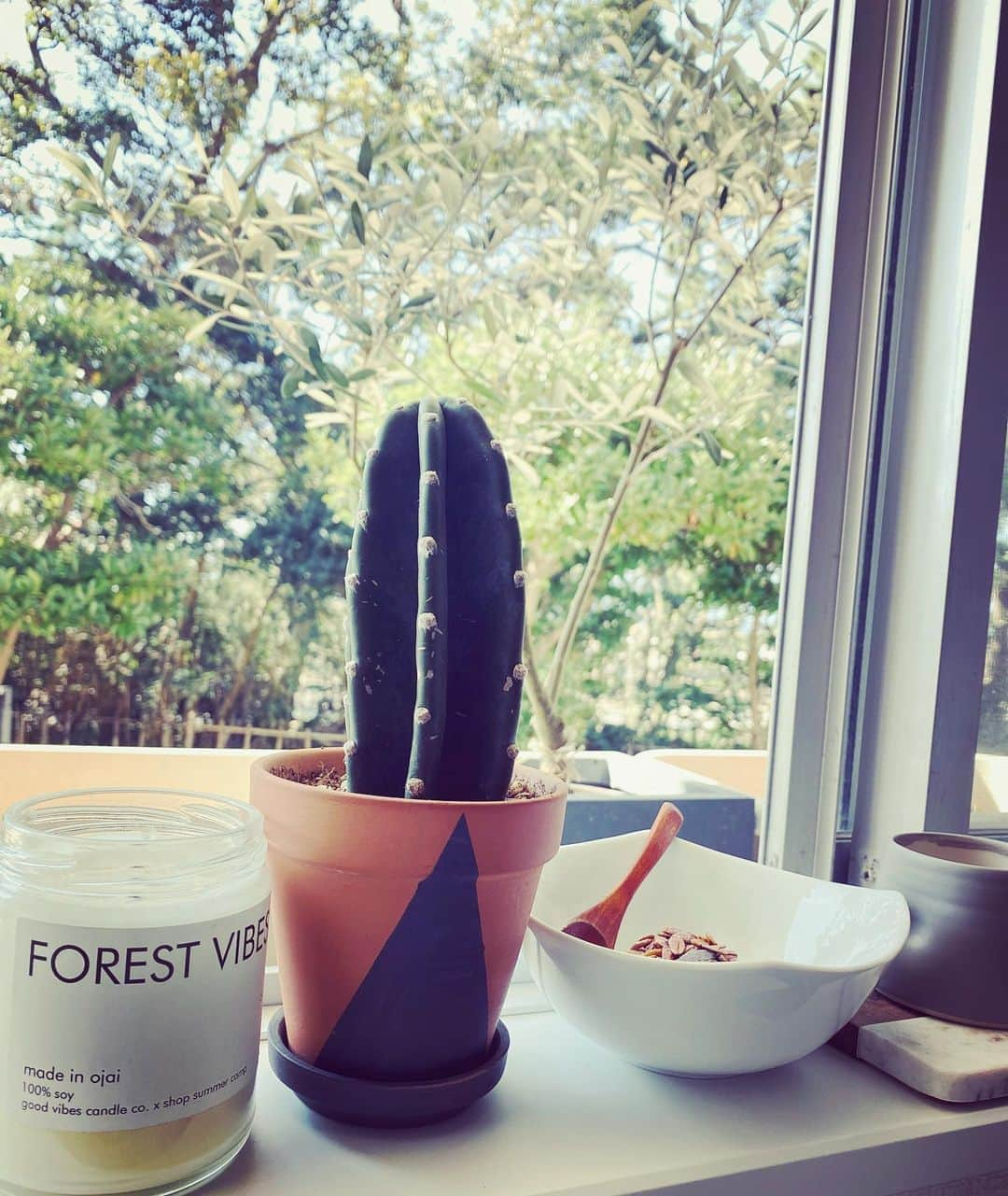 Hiroe Hiranoさんのインスタグラム写真 - (Hiroe HiranoInstagram)「爽やかな朝。カリフォルニアの サボテン🌵🌵とともに。  @vervecoffee のひきたてコーヒー☕️と 頂いたオーガニックミューズリーfrom #SantaBarbara🌴  アメリカの新たな歴史がスタート🇺🇸 私の周りは連日この話題でもちきりでした。  アメリカ人の旦那、家族や友達と いろんな事を振り返って話をしてきたことも。  私の人生における、また一歩になりそう☺️ 葉山の海を見ながら意見を語り合う時間は 深く考えることもあったし、心地よかった✨  あっという間に今年は終わりそうだね。 早くも年末感🎄🎁#2020  沢山気づきがあった時間でした。  これからも色んなことが起こることもあるだろうけ ど、まず大切な人と自分を大切にすることから✨  🌈🌎LOVE &PEACE🌎🌈  #goodpeoplegoodtimes  #life #hiroecali #morning #goodconversation  #love #peace #greatconjunction」11月8日 9時52分 - hiroe_hirano