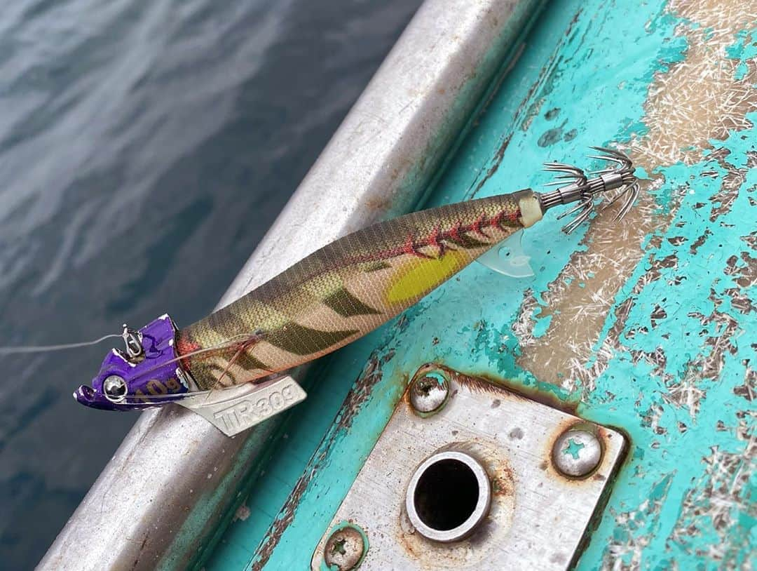 滝沢沙織さんのインスタグラム写真 - (滝沢沙織Instagram)「今年初のティップランエギング🦑🎣✨ ヤマシタの社員さん、福田ゆみちゃん、ドランクドラゴンの鈴木拓さん達とワイワイ楽しく釣りができました🎣‼️ 帰りに、船長さんや漁港のお兄さんに、沢山の生しらすをいただいたので、現地でしか食べられないはずの生しらすを、お家に帰ってから夕飯で頂き、とーーーっても美味しかったし、幸せだったなぁ😆💖 皆様、本当にお世話になりましたっ❗️✨ イカ釣り🦑は釣って楽しい、食べて美味しい、最高ですっ💖 まだまだ腕を磨かなくては🎣✨笑 #滝沢沙織 #ティップラン #ヤマシタ社員の方々 #福田ゆみちゃん #ドランクドラゴン鈴木拓さん #アオリイカ #生しらす丼 #幸せ#fishing#fish#fishinglife#fishingday#fishingtime#fishingislife#釣り#魚#釣り女優#滝沢釣り道#釣り女子#釣り好き#釣りファッション#海釣り#海」11月8日 9時52分 - saori_takizawa.official