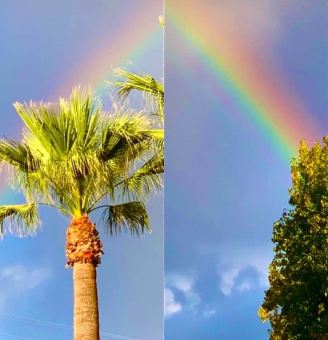 タック・ワトキンスさんのインスタグラム写真 - (タック・ワトキンスInstagram)「I stopped to snap this glorious rainbow without a filter (lie) in a single shot (lie) while my kids were incredibly patient (lie). #TheLiesStopToday #BidenHarris!」11月8日 10時02分 - tucwatkins