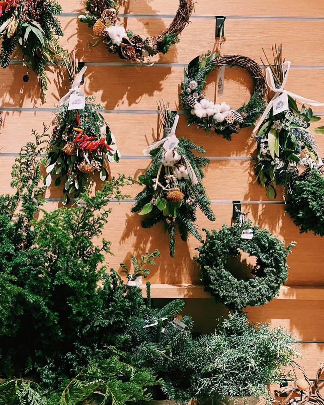 柏の葉 T-SITEさんのインスタグラム写真 - (柏の葉 T-SITEInstagram)「【PICK UP】﻿ 『今週のdecora便🌿 #15』﻿ ﻿ 〈ジャンル〉食・暮らし﻿ 〈場所〉1F 暮らし﻿ ﻿ こんにちは。﻿ フラワーショップ デコラ @decoradecora さんから﻿ 届いたお花をご紹介するこちらのコーナー。﻿ ﻿ 今週からはdecora便にも﻿ #クリスマス の色が少し入り始めました🎄﻿ ﻿ #ガーデンシクラメン は #クリスマスの花 ﻿ 小さいのでお部屋のどこに飾っても﻿ 彩りを添えてくれます。﻿ ﻿ 丸く刈り込まれた #トピアリー は、﻿ #ラベンダー でできています。﻿ 小ぶりですがクリスマスの飾りつけをすると﻿ ミニツリーの代わりになりそうですね。﻿ ﻿ #ユーカリ や #ローズマリー が入ったスワッグは﻿ 生花ですがドライにもなるので、﻿ 長く楽しむことができます✨﻿ ﻿ 大好評をいただいている #ドライブーケ も﻿ 色合いが深まってきました。﻿ ﻿ また、つくばエクスプレス側の﻿ 入り口横で展開中のフェアでは﻿ クリスマスリースやスワッグを取り扱っています。﻿ 前回すぐになくなってしまったので今回もお早めに！﻿ ﻿ ーーーーーーーーーーーーーーーーーー﻿ 徐々に寒くなり、植物の色も深みを増しています。﻿ 季節の移ろいを花で感じてみてください。﻿  #柏の葉tsite #tsite #柏の葉蔦屋書店 #蔦屋書店 #おうちガーデン #decora #お花のある暮らし #フラワーショップ #フラワーギフト #冬のインテリア #ミニツリー #スワッグ」11月8日 10時35分 - kashiwanohatsite