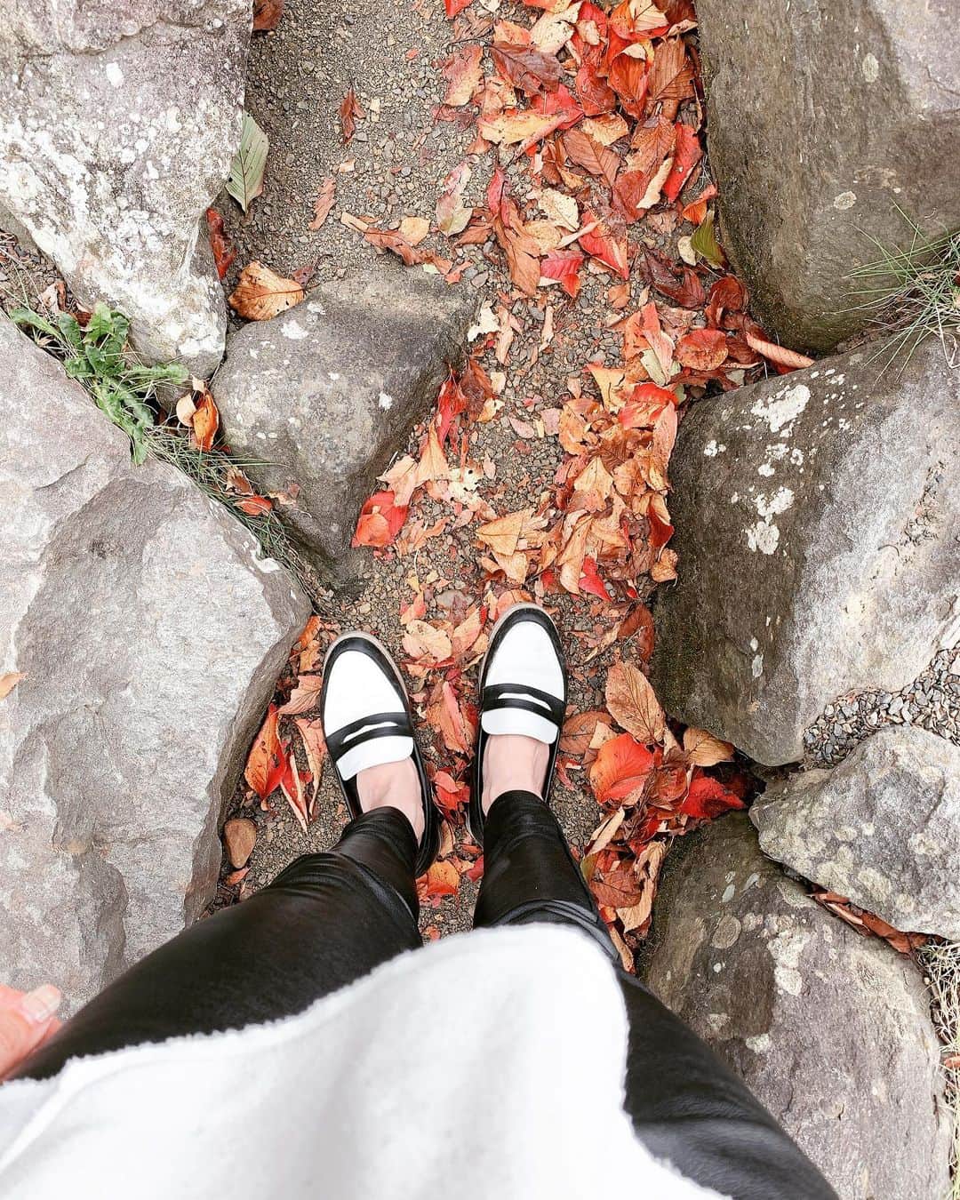 のインスタグラム：「週末は公園三昧🍂🍁 暑くもなく寒くもなく何時間でも居られる😚 . 仕事帰りに寄ったSAからの景色も綺麗すぎて、秋はいいなぁ。 . . . #autumn #autumnvibes🍁 #autumnleaves #autumncolors #autumnfashion」