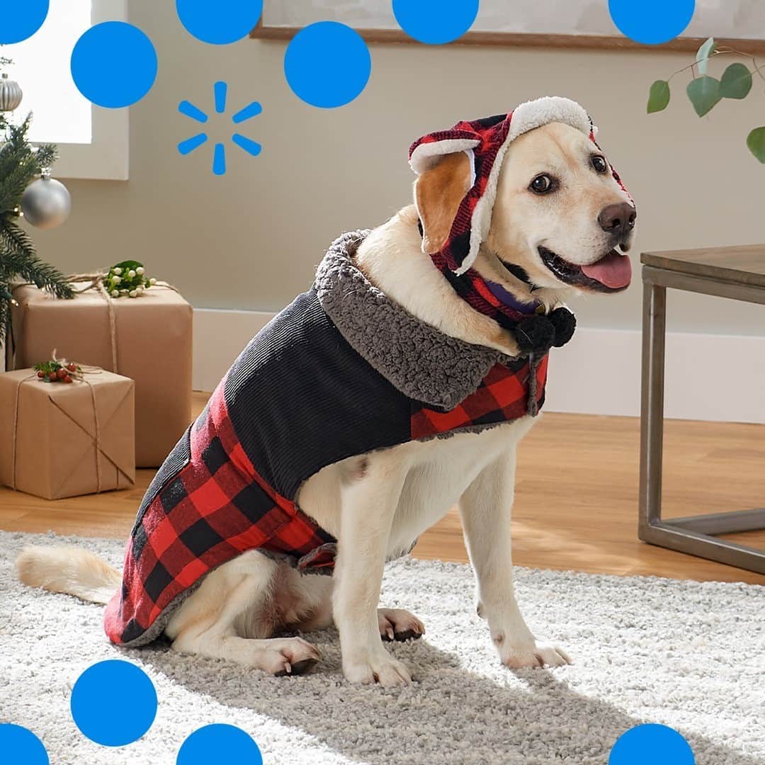 Wal-Mart Stores, Incのインスタグラム：「When the walk gets ruff, we get layered. TBH, we want this look in our size, too. 🐶 #WalmartPets」