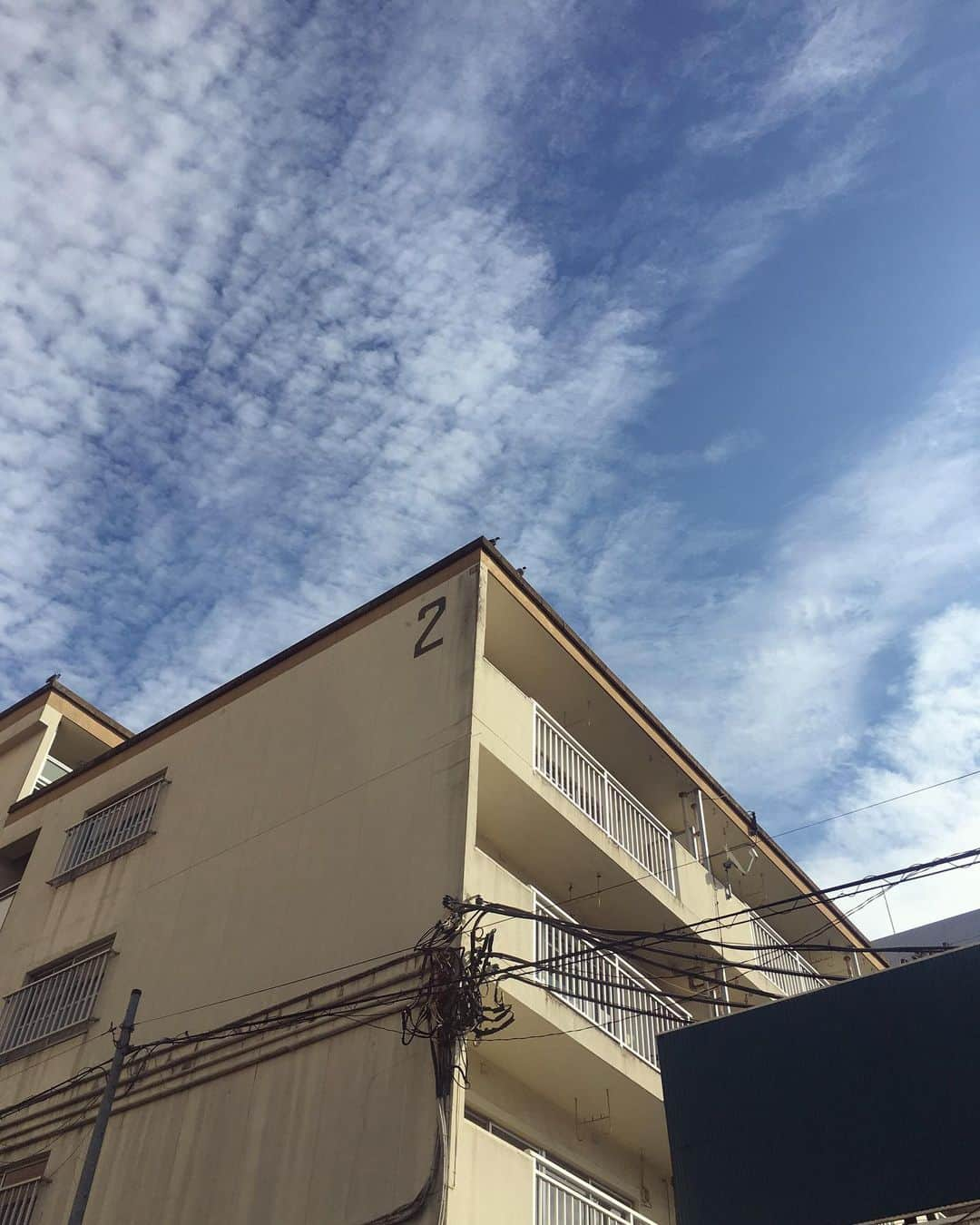 中野ミホさんのインスタグラム写真 - (中野ミホInstagram)「🐦🐦」11月8日 10時49分 - miho_doronco12