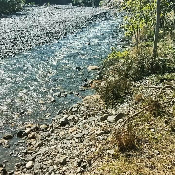 工藤村正のインスタグラム：「滋賀の山奥、土山の温泉にほど近い美しいせせらぎ…ほんの5分、川原で冷たく、優しい水を一口飲む…顔にもピッとスプラッシュ。日本は至る所が美しい…今の日本の人たちも爽やかで、束の間の本当の自分を優しくあげて下さいな😊　自分の存在がとても大切な事を感じるはず… 秋の冬支度前のリフレッシュだった。ありがとう日本の自然❤️」