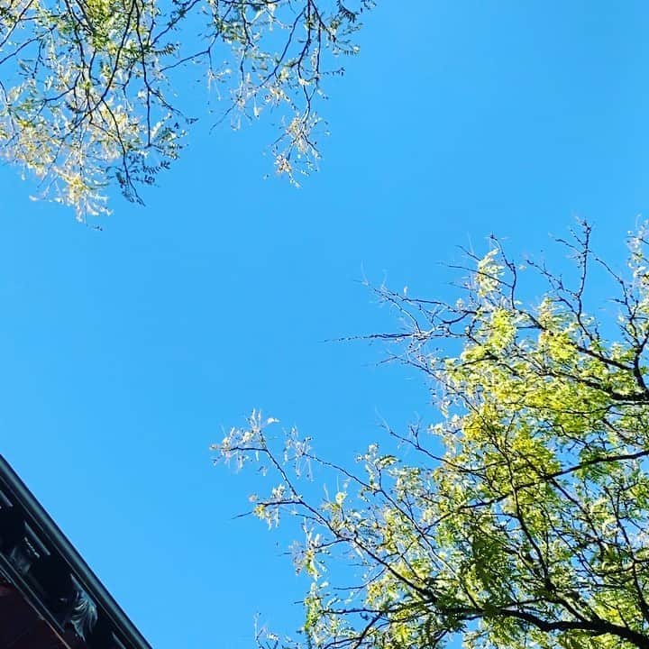 イングリッド・マイケルソンのインスタグラム：「This is the sound of pure joy. Blue skies baby.」