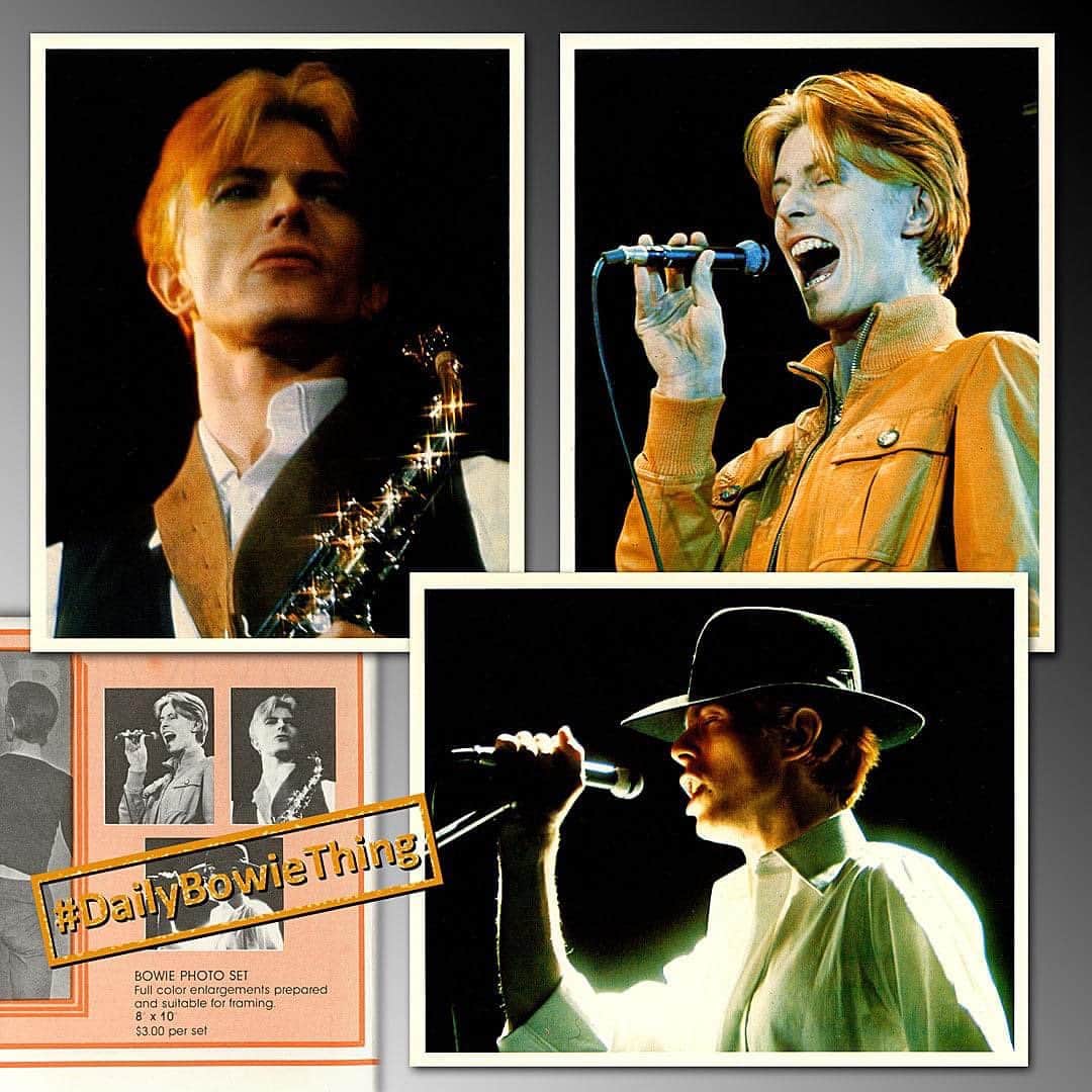デヴィッド・ボウイさんのインスタグラム写真 - (デヴィッド・ボウイInstagram)「DAILY BOWIE THING – Day 7   “I’d send my photograph to my honey...”   When we first announced #DailyBowieThing a few weeks ago, we posted the original 1976 4-page memorabilia leaflet from the official David Bowie Fan Club, highlighting the Bowie belt buckle that was on offer.   The two-colour leaflet really didn't do any of the items up for grabs any justice, as you can see from today’s montage. Of course, that meant that when your items arrived they were a lovely surprise. These three Andrew Kent photos were printed as superb quality 10x8s.   Not so easy to find nowadays, but even if they do turn up, expect to pay a little more than the $3 for the set of three that was being charged back then.   No doubt we’ll disturb your Sunday with another #DailyBowieThing tomorrow.   #DailyBowieThing  #AndrewKentBowie  #70sBowieFanClub」11月8日 2時42分 - davidbowie