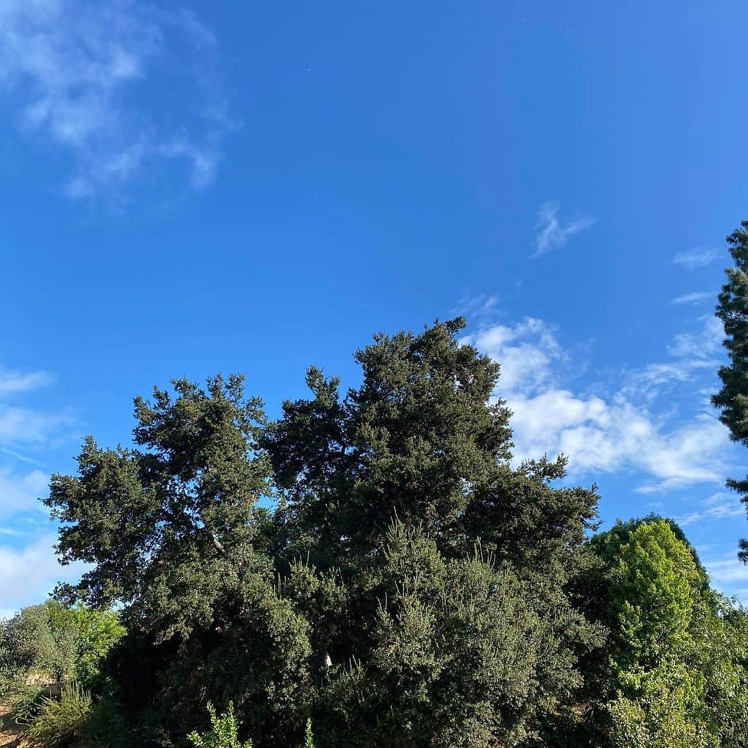 ヘザー・マクドナルドのインスタグラム：「It was raining this morning and then it stopped. Now it looks like blue skies ahead. Wishing you all a beautiful day my fellow Americans. #positivevibes #america 🇺🇸」