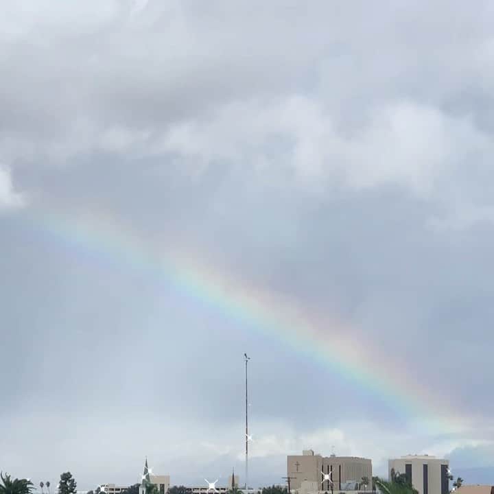 テス・ホリデーのインスタグラム：「My oldest said that there was a rainbow over LBC today bc Biden & Harris won, & you know, he’s right 💫🌈💫🌈💫🌈💫🌈💫 #trumpyourefired #bidenharris」