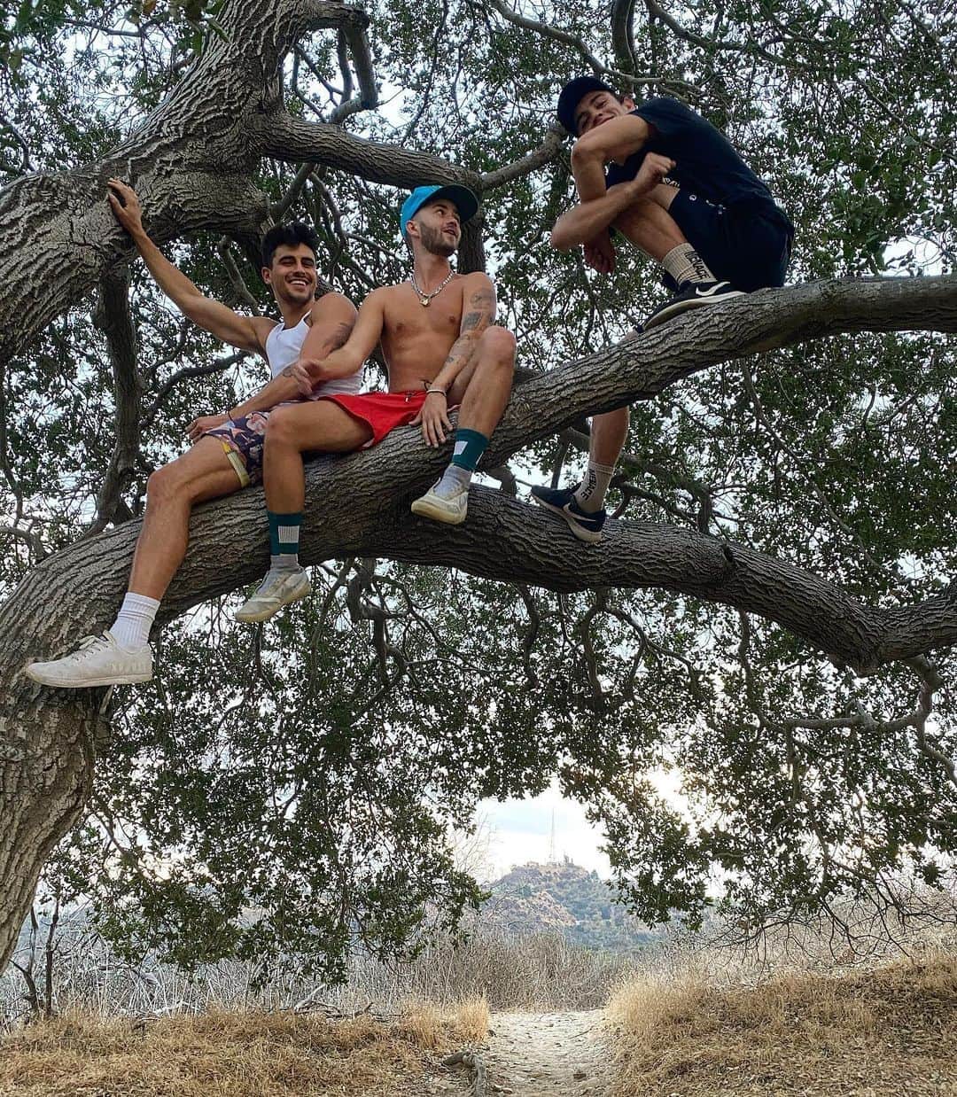 ジャック・ジョンソンさんのインスタグラム写真 - (ジャック・ジョンソンInstagram)「The future is bright for the tree dwellers 🌞」11月8日 3時20分 - jvck.j