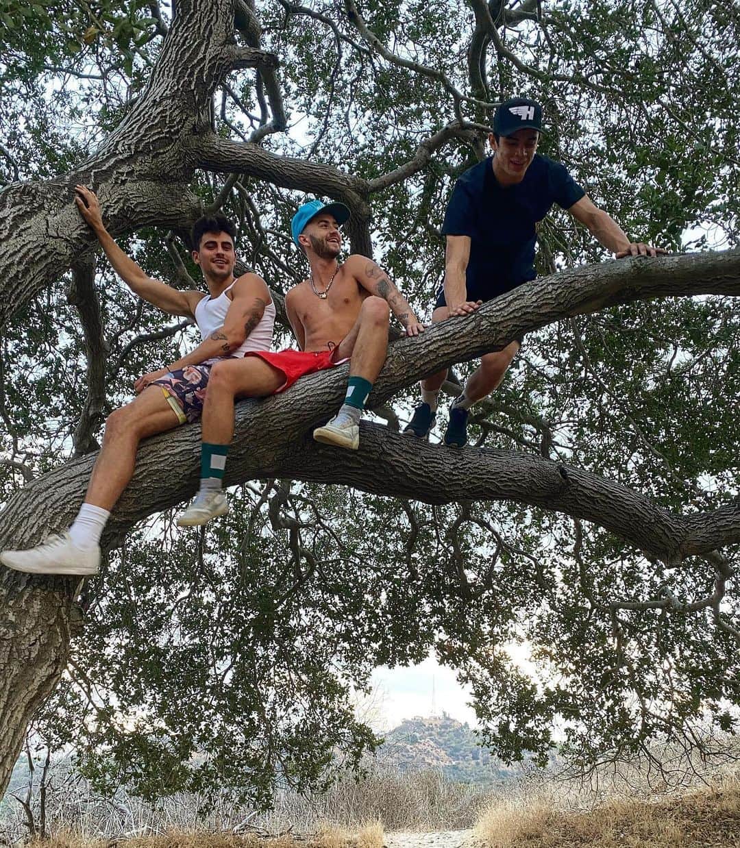 ジャック・ジョンソンのインスタグラム：「The future is bright for the tree dwellers 🌞」