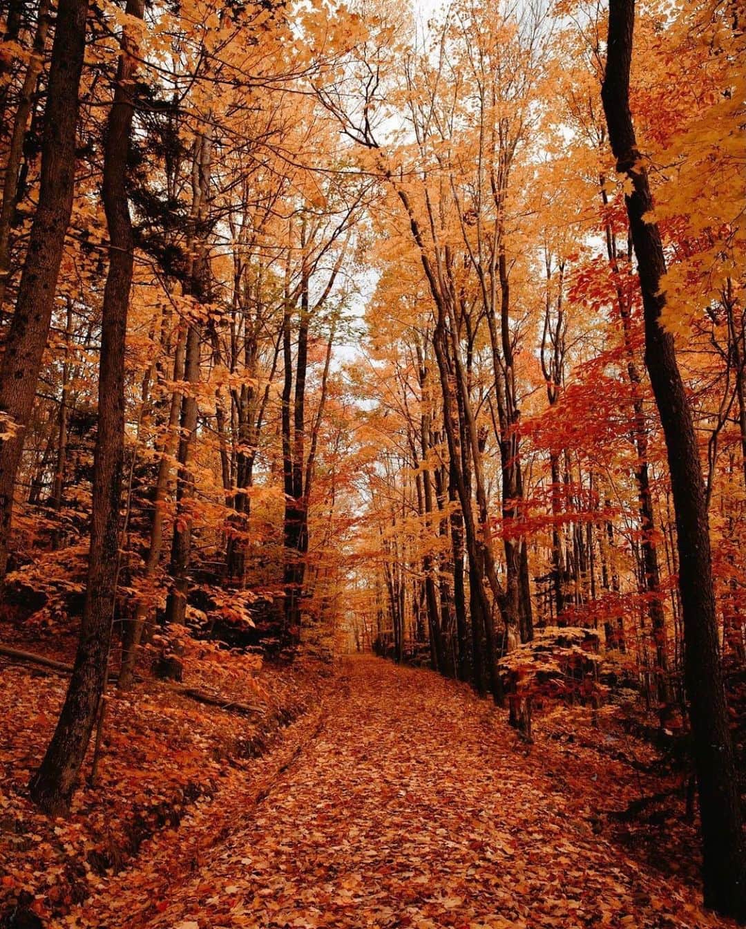 FOLKのインスタグラム：「The peace of a weekend. Today’s favorites: 1.) @jessolm 2.) @braybraywoowoo 3.) @marvin_walter 4.) @brycevisions 5.) @kchysmith 6.) @robinxbenjamin」