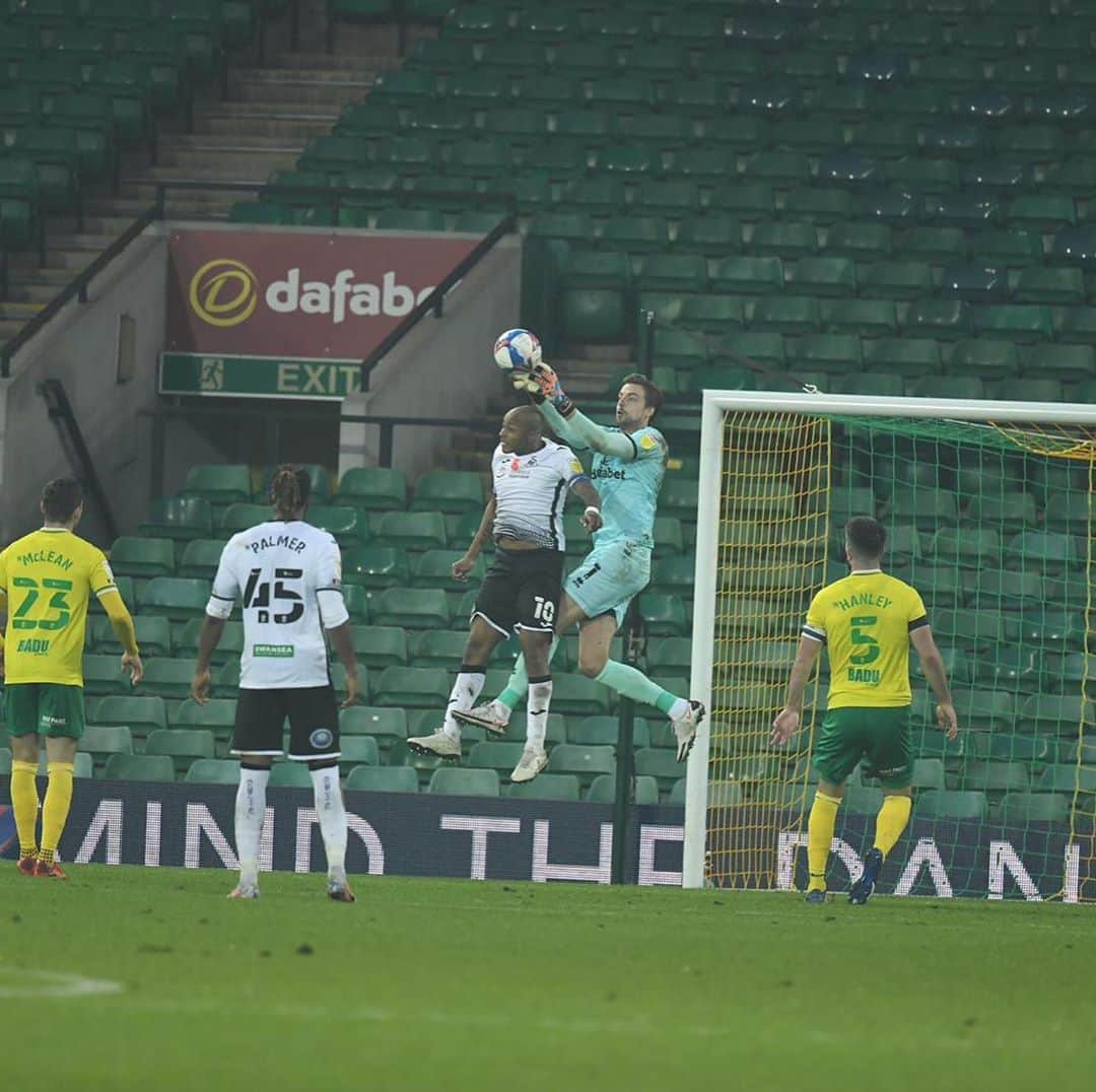 ティム・クルルさんのインスタグラム写真 - (ティム・クルルInstagram)「Massive 3 points and a lot of positives to take into the international break.. #7unbeaten #cleansheet #lestweforget🌹 🔰」11月8日 4時08分 - timkrulofficial