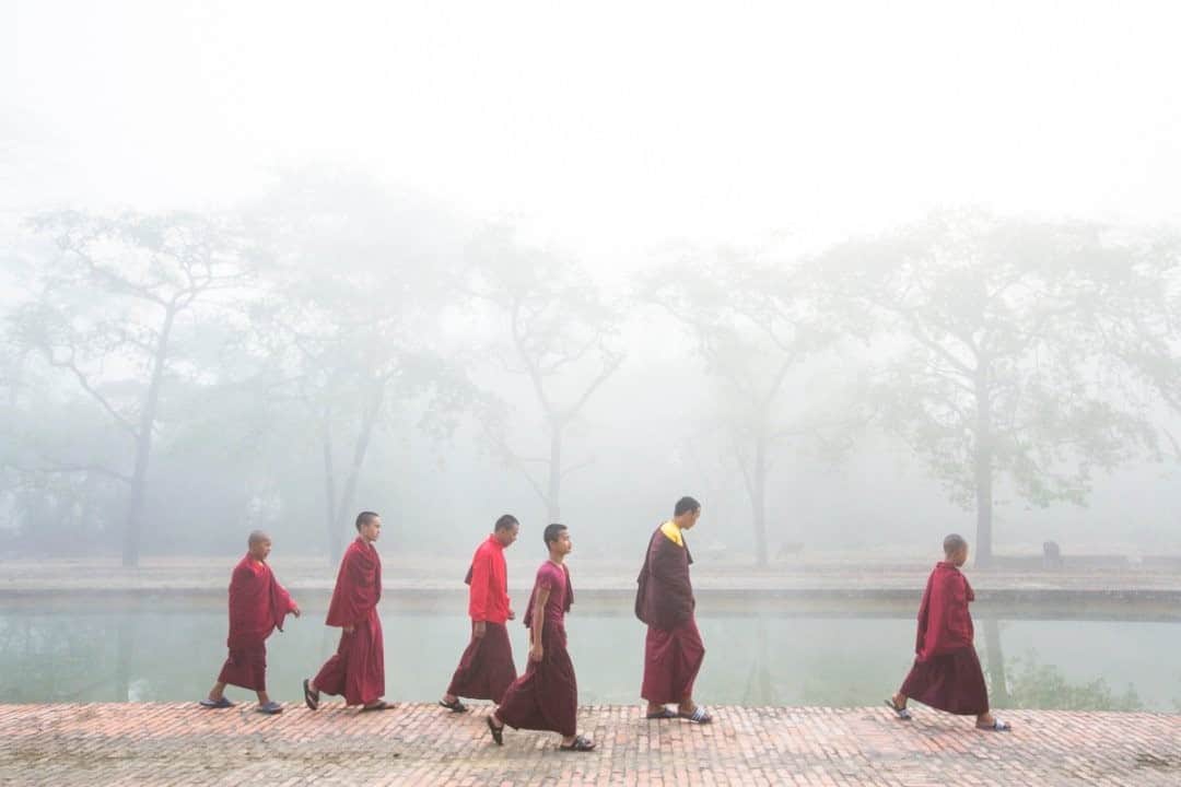 National Geographic Travelさんのインスタグラム写真 - (National Geographic TravelInstagram)「Photo by @emilypolar / Monks walk through the morning fog on their way to the Maya Devi Temple, a site traditionally recognized as the birthplace of Gautama Buddha. Lumbini is positioned in the south of Nepal, where in the fall the temps are still high during the day and cool at night. This results in beautiful foggy mornings that I happily run out the door for. To see more of Nepal and beyond, follow me @emilypolar. #Nepal #Lumbini」11月8日 4時36分 - natgeotravel