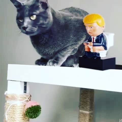マーティン グラントのインスタグラム
