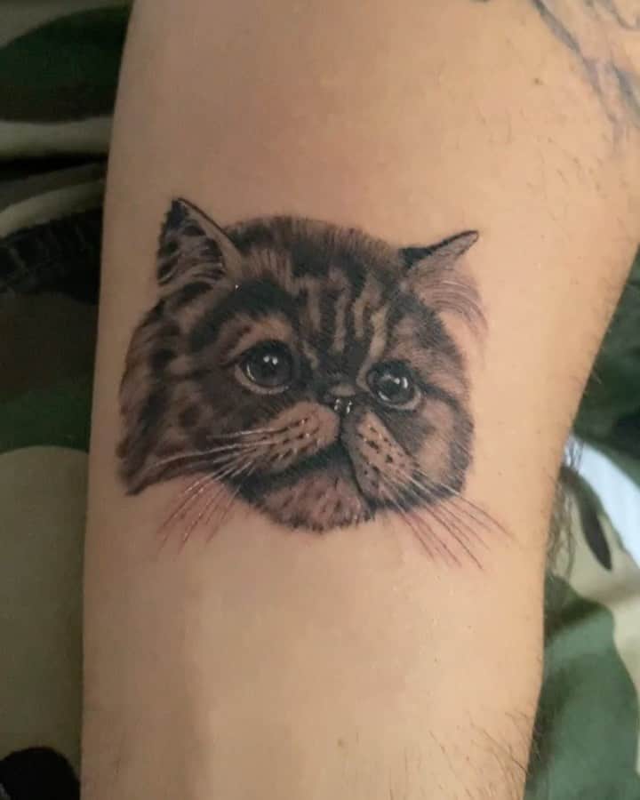 のインスタグラム：「les presento a Merlin ✌🏼🐱! —————— gracias a @melendez.ink por poner toda su energía en esta pieza 💉」
