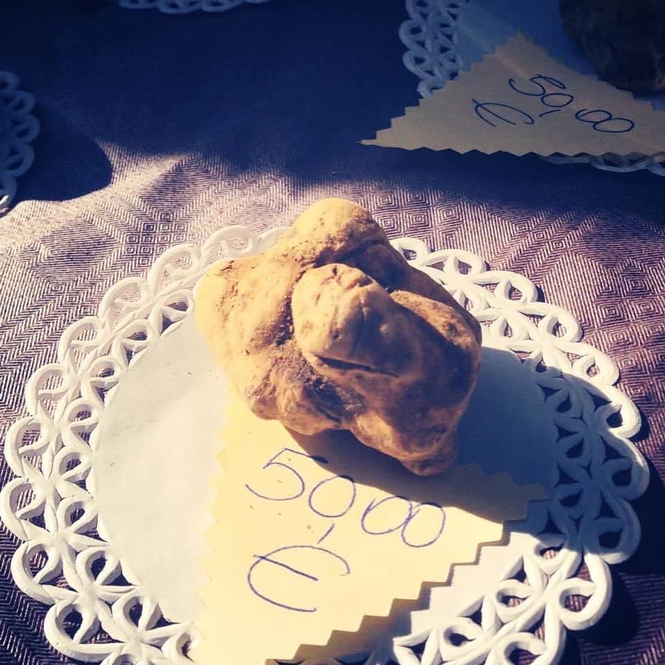 eguchikazuakiさんのインスタグラム写真 - (eguchikazuakiInstagram)「何年か前にイタリアに行ったんです﻿ ﻿ チョコレートをたくさん知りたくて、食の文化を学びに。﻿ ヴェネツィアではちょうどアクアアルタにあたってレストラン出たら水浸し😅﻿ ﻿ アルバによってまさにトリュフ祭りの最中﻿ 今まで食べた事あるトリュフなんか話にならなくて﻿ 苦手だったけど好きになりました🍫﻿ 香りが違います、全ては香り‼️﻿ ﻿ その印象が強くて創ったのがこれ。﻿ ブロンドチョコレートのとは違う大人の嗜好品﻿ ﻿ 阪急の企画で原価無視の﻿ 【白トリュフと黒トリュフのフィナンシェ】を創りました。﻿ 白トリュフはキャラメルにして中に忍ばせて。﻿ 黒トリュフは塩としてチョコレートにふりかけて。﻿ コーティングはデリーモのオリジナルショコラ【クエンカ】﻿ 生地にはスモーキーなショコラ﻿ ﻿ 子供は食べない方がいいです🤣﻿ めちゃくちゃリッチで贅沢な味わい。﻿ ﻿ シガーならオリヴァやコイーバを合わせてほしい﻿ ウィスキーなら山崎、バルヴェニー12年﻿ ﻿ ワインもいいけど、、、もちろんコーヒーも有り﻿ 日本一原価の高いフィナンシェじゃないかな﻿ ﻿ チョコレートにちょびっと入れてるよくわからないトリュフじゃなくて本物を味わいたい方にぜひ👋🏻  #delimmo #デリーモ #フィナンシェ #白トリュフ #黒トリュフ #高級 #贅沢 #あり得ない #味わい #ハマる #逃げれない #魅力 #大人限定 #リッチ #ウィスキー #シガー #パティシエ #ショコラティエ #江口和明 #eguchikazuaki #誰も知らない世界 #阪急カタログ #販売中」11月8日 8時39分 - eguchikazuaki