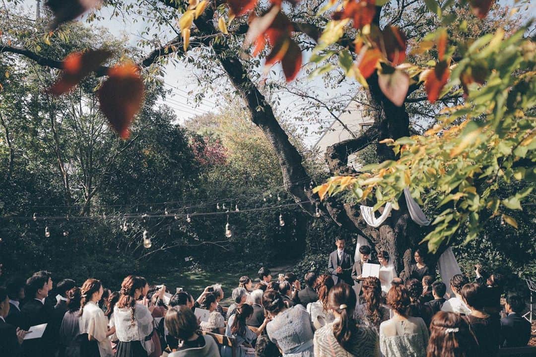 ラクラリエールのグルメインスタ