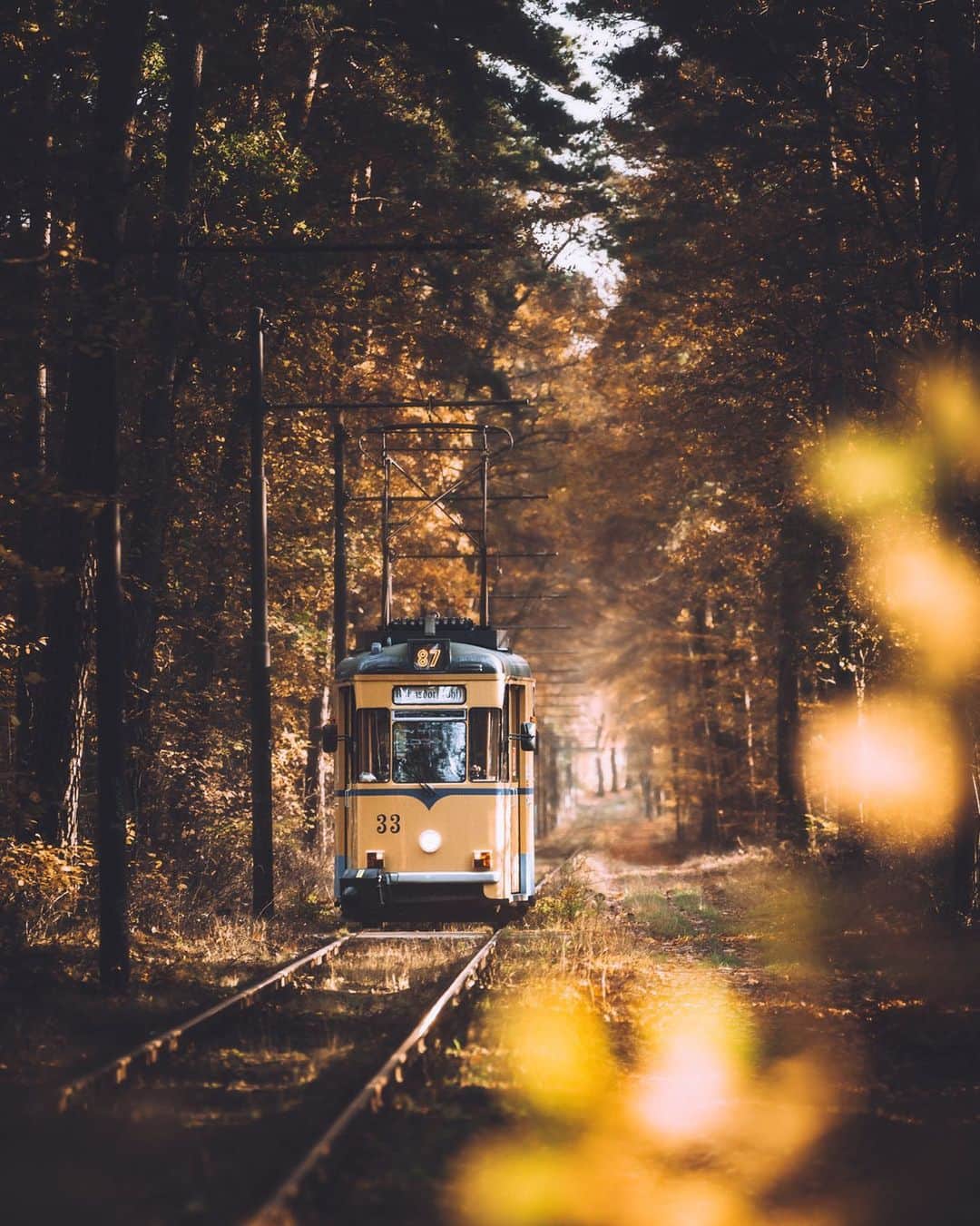 Thomas Kakarekoのインスタグラム：「getaway The small community of Woltersdorf has it's own unique tram system operated by vintage trams. Line 87 was constructed in 1913 and passes through the woods and local villages. Easy to reach from Berlin and probably the most photogenic during fall.  #berlin」
