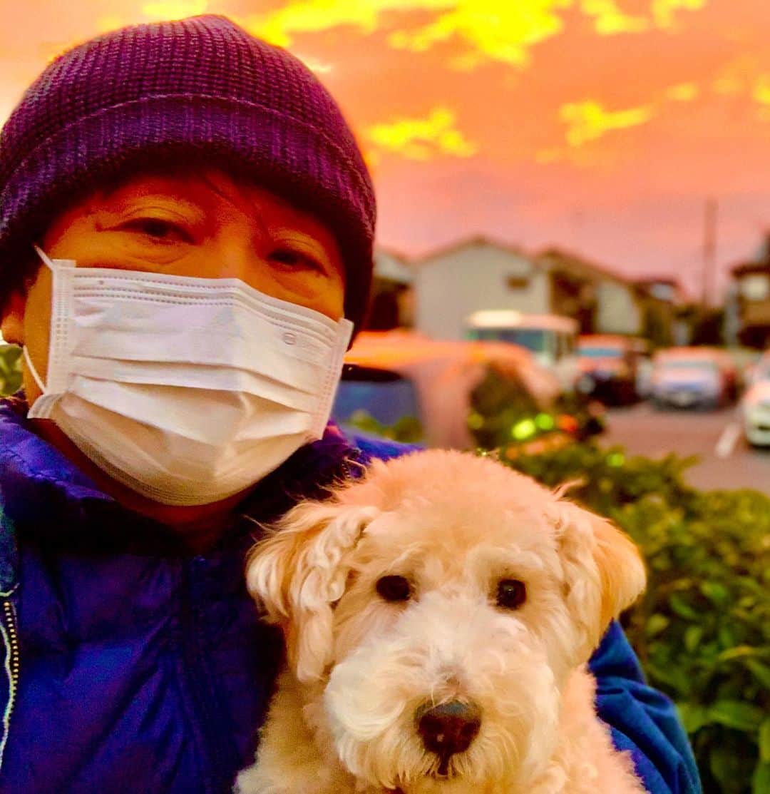 設楽洋さんのインスタグラム写真 - (設楽洋Instagram)「夕陽とケリー😊🐶☀️  久々にゆっくり時間を過ごした。  #Kelly #ケリー #愛犬 #terrier #レイクランドテリア #夕陽 #sunset  #愛犬と散歩 #ゆっくり時間 #chill」11月8日 19時34分 - taracyan3