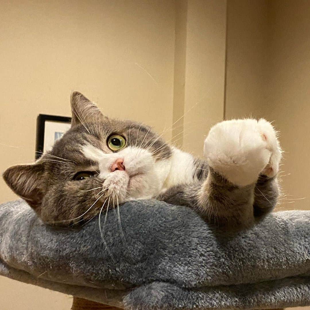 Haruのインスタグラム：「Mangosteen #น้องมังคุด #มือมังคุด」